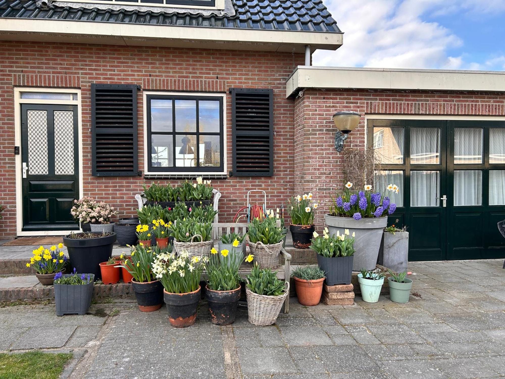 Flowerbed Voorhout Exterior foto