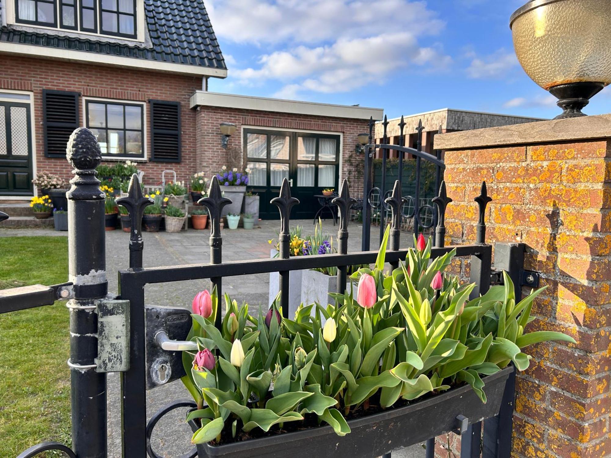 Flowerbed Voorhout Exterior foto